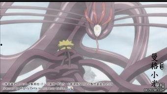 火影忍者零尾最新爆料,揭秘火影忍者终极秘密  第1张